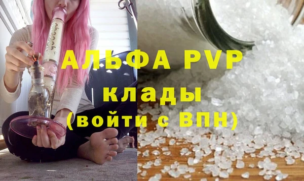 крисы Белокуриха
