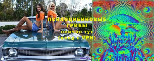 крисы Белокуриха