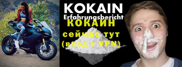 крисы Белокуриха