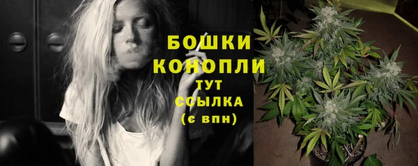 крисы Белокуриха