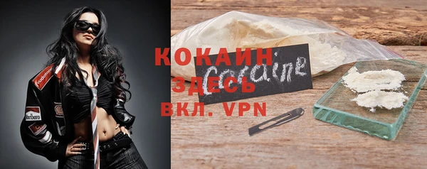 крисы Белокуриха
