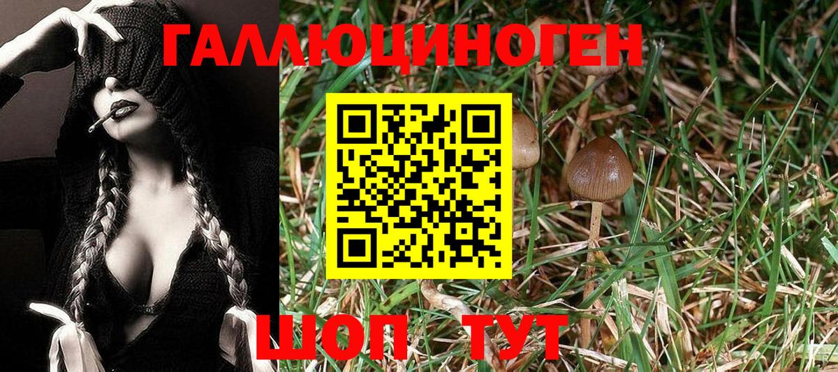 Беслан  Псилоцибиновые грибы MAGIC MUSHROOMS  Вход с VPN  закладка  Галлюциногенные грибы GOLDEN TEACHER 