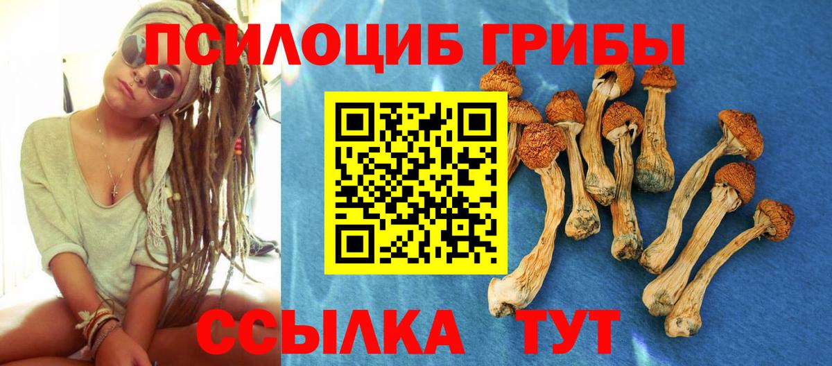 Псилоцибиновые грибы прущие грибы Беслан